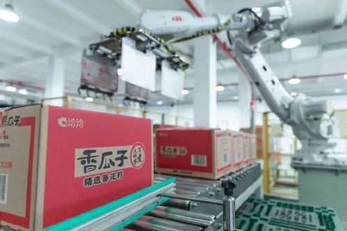 上市以來營收利潤首次同步下滑，洽洽食品新一年如何破局？