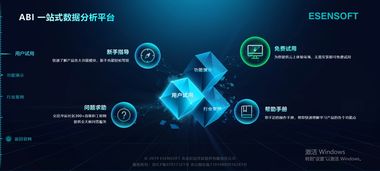 數(shù)據(jù)可視化行業(yè)洞察 商業(yè)智能BI工具、大數(shù)據(jù)分析軟件與數(shù)據(jù)處理服務的融合與未來